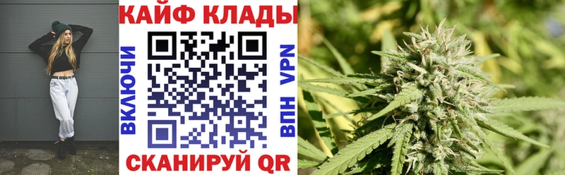 Названия наркотиков Луга Кокаин Псилоцибиновые грибы Меф мяу мяу Гашиш Конопля