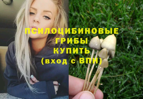 каннабис Новозыбков