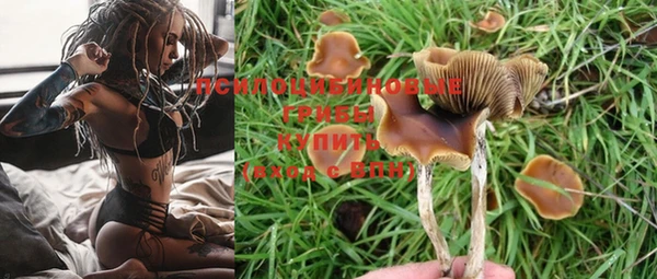 каннабис Новозыбков