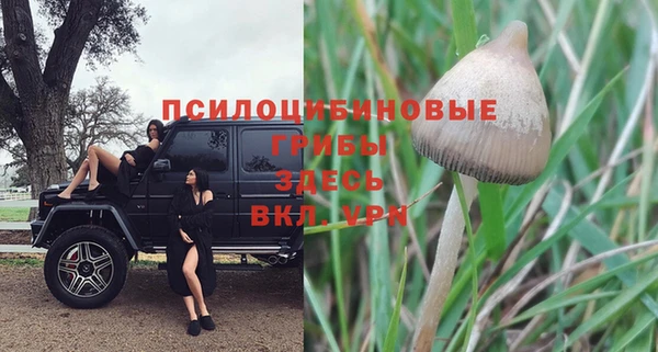 каннабис Новокубанск