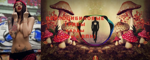 каннабис Новозыбков