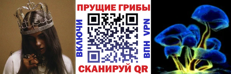 Галлюциногенные грибы Cubensis  Луга 