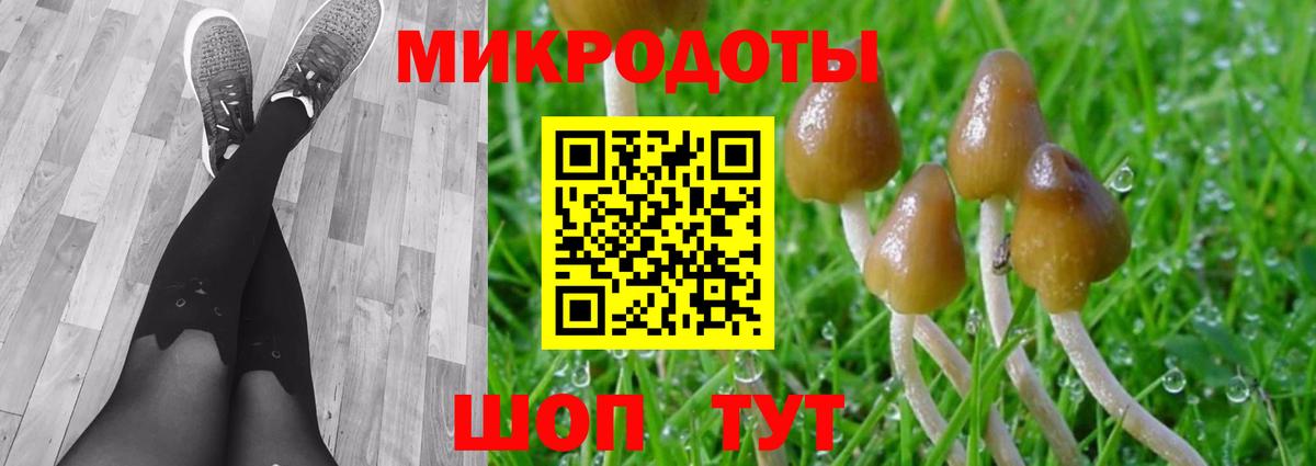 Псилоцибиновые грибы мицелий  как найти закладки  Луга  Вход с VPN 